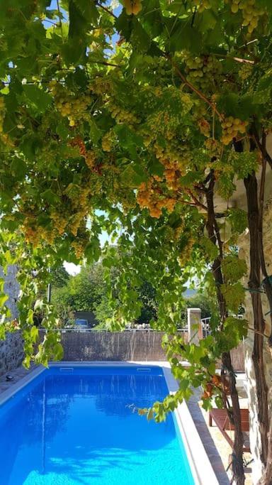Stone House Kula Milica Villa Mala Cista Buitenkant foto