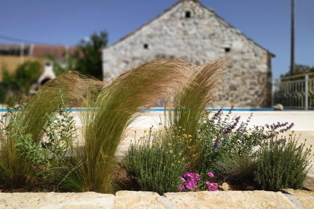 Stone House Kula Milica Villa Mala Cista Buitenkant foto